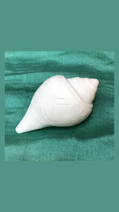 Curios – seashell