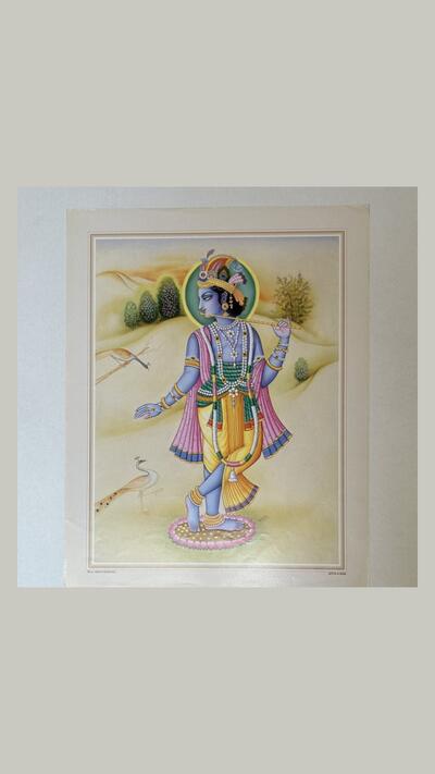 A3+-Poster: Krishna mit einer Flöte auf einer Lotusblüte, umgeben von Pfauen