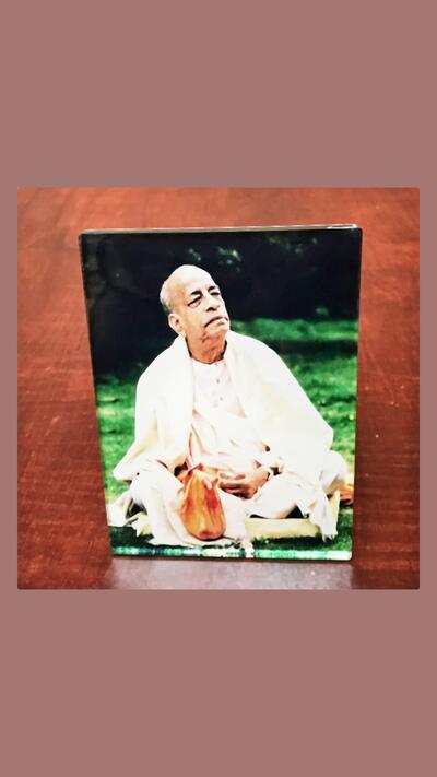 Picture of Prabhupāda wearing a chadar, 14 x 10 cm
