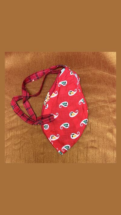 Red Japa pouch with colourful petals