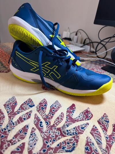 novak djokovic Asics Solution Swift FF Tennis Padel non marking Shoes FlyteFoam CM 28.5 EURO 45